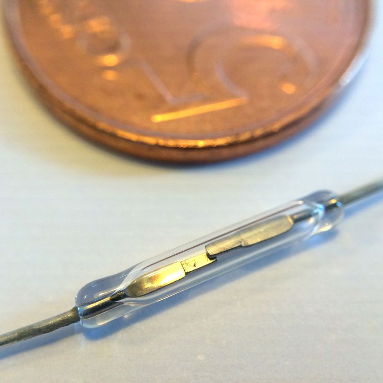 A magnified photo of a reed contact. 5 euro cents for scale.